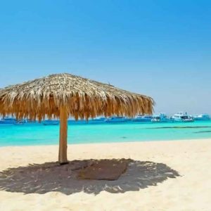 sharm elulli